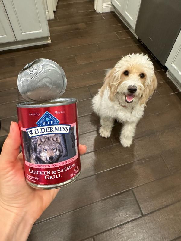Wilderness Dog Blue Wilderness Salmon Review Blue Buffalo