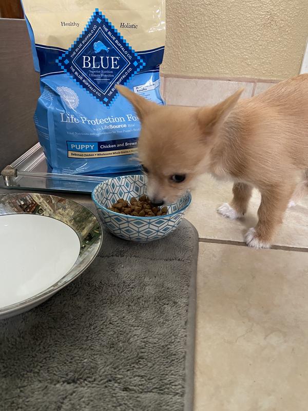 Blue Buffalo Puppy Food Chicken Brown Rice 15 lb. Meijer