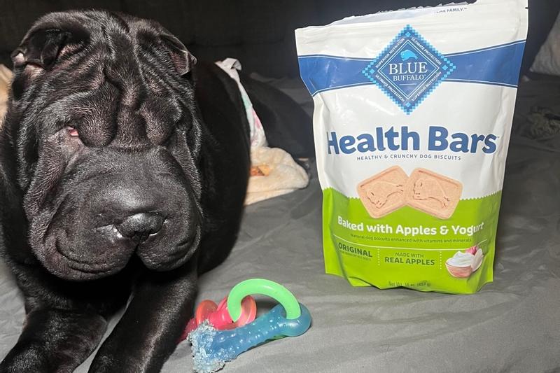 BLUE Health Bars with Apples Yogurt Dog Biscuits