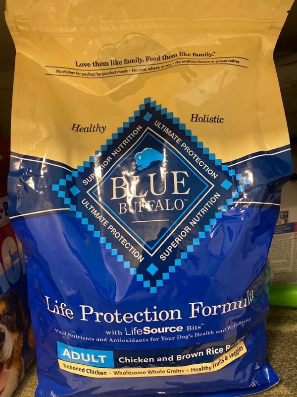 Blue buffalo life protection dog food reviews hotsell