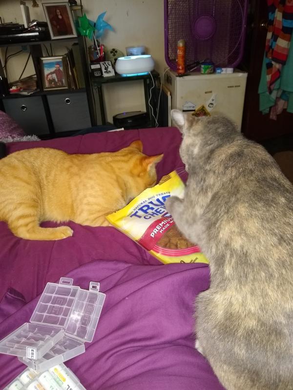Cats claw for True Chews dogs love it too