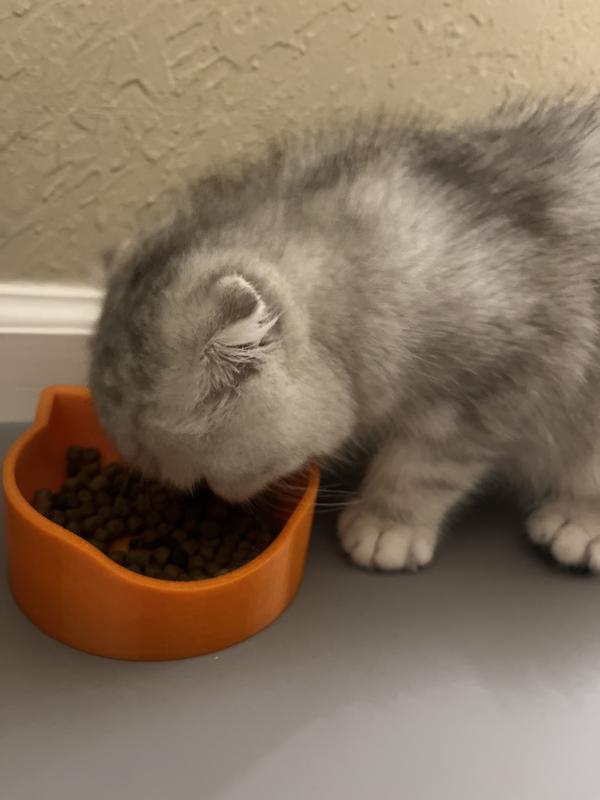 Great for my pet stomach with probiotes, blueberry, fish oil. He loves it.