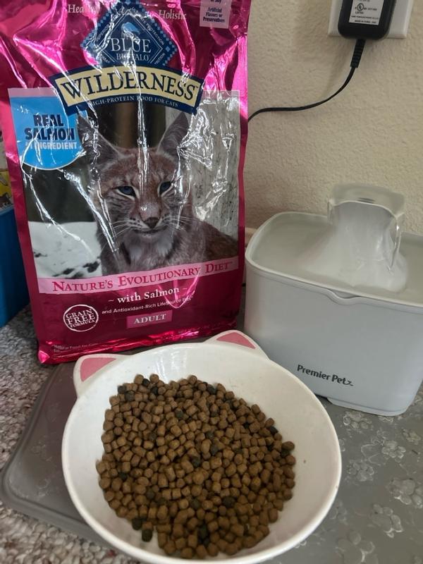 Blue wilderness salmon cat food review hotsell