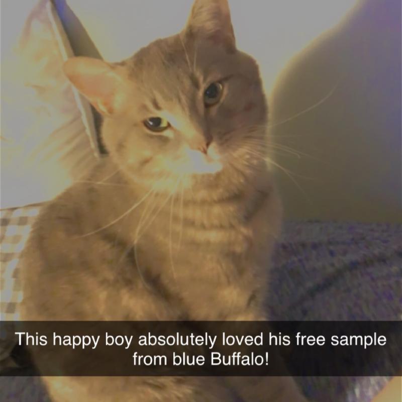 Blue buffalo hotsell free samples