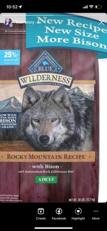 Blue wilderness best sale bison large breed