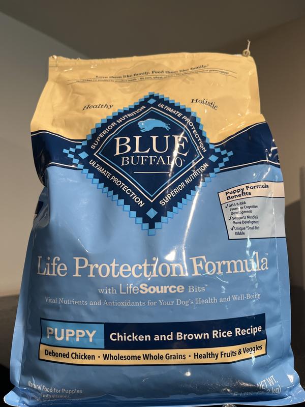 Photo - commentaire 6.