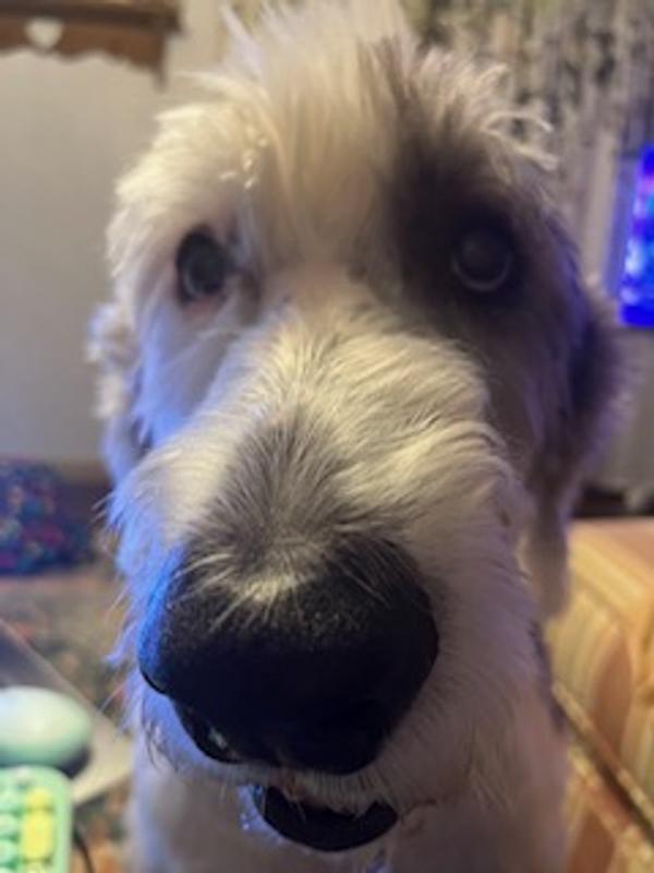 Look how good I look, ain't I cute ?