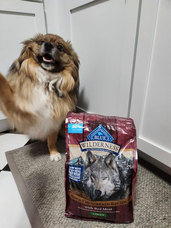 Blue wilderness rocky mountain recipe puppy review sale