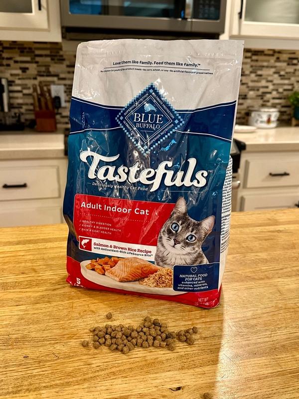 Dry Cat Blue Wilderness Cat Food Review Blue Buffalo Healthy