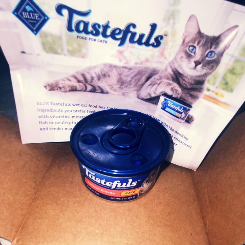 Blue Buffalo Tastefuls Adult Cat Food Salmon Pate 3.0 oz Meijer