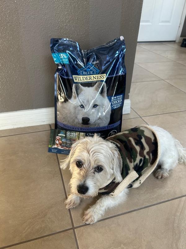 Blue wilderness clearance small breed review