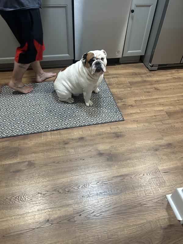 Photo - commentaire 3.