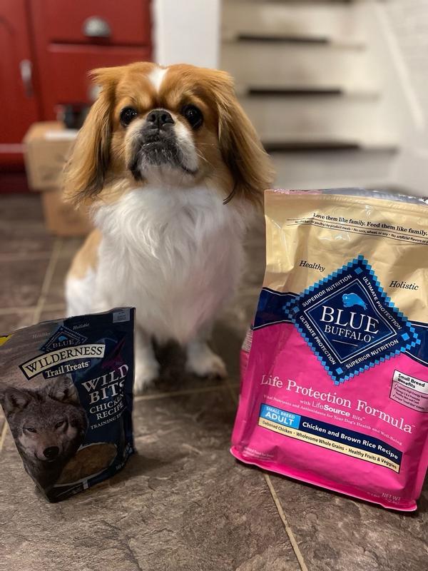 Blue Buffalo Life Protection Formula Small Breed Adult Dog Food Chicken and Brown Rice Recipe Walgreens