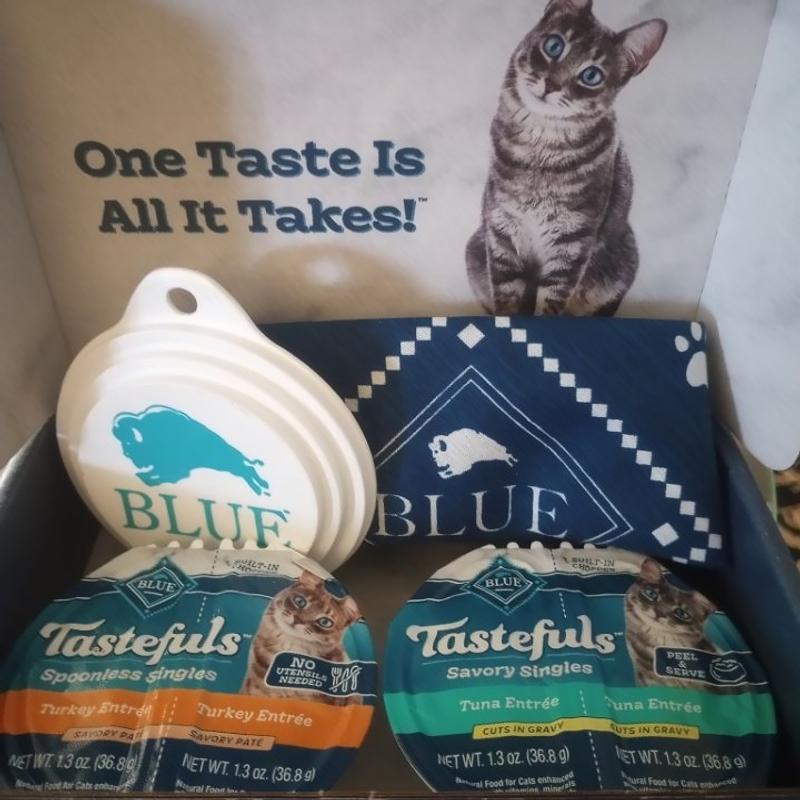 Blue Buffalo Tastefuls Flaked Wet Cat Food Pet Supplies Plus