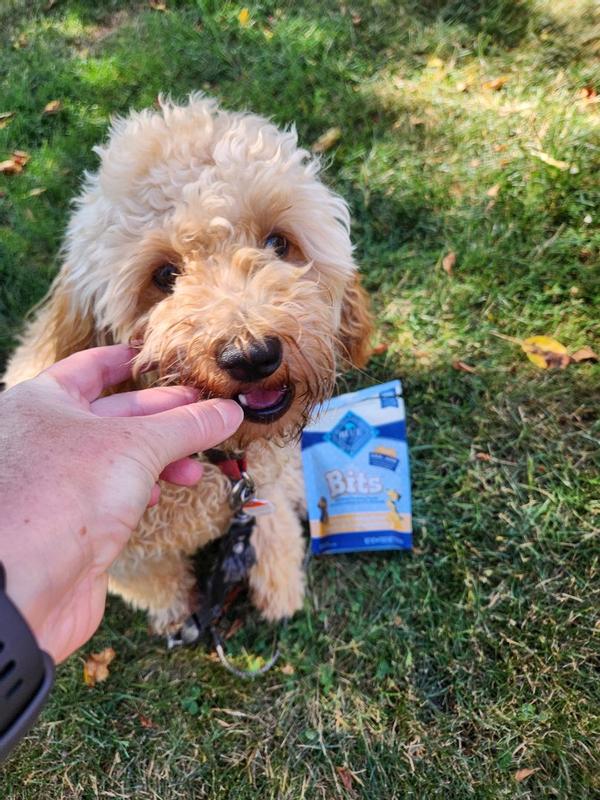 Photo - commentaire 1.