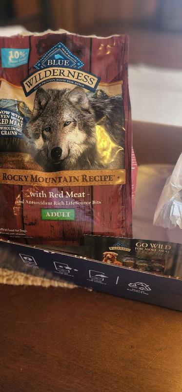 Blue mountain outlet food dog