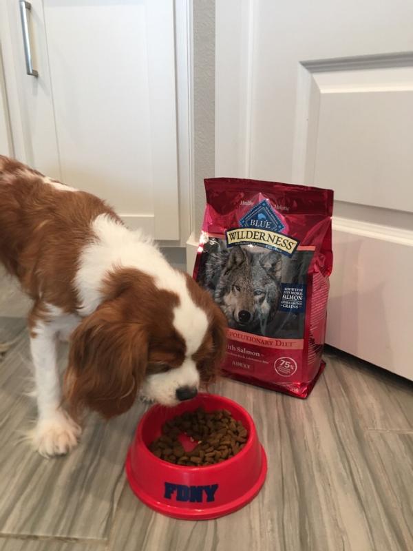 Blue wilderness dog food hotsell serving size