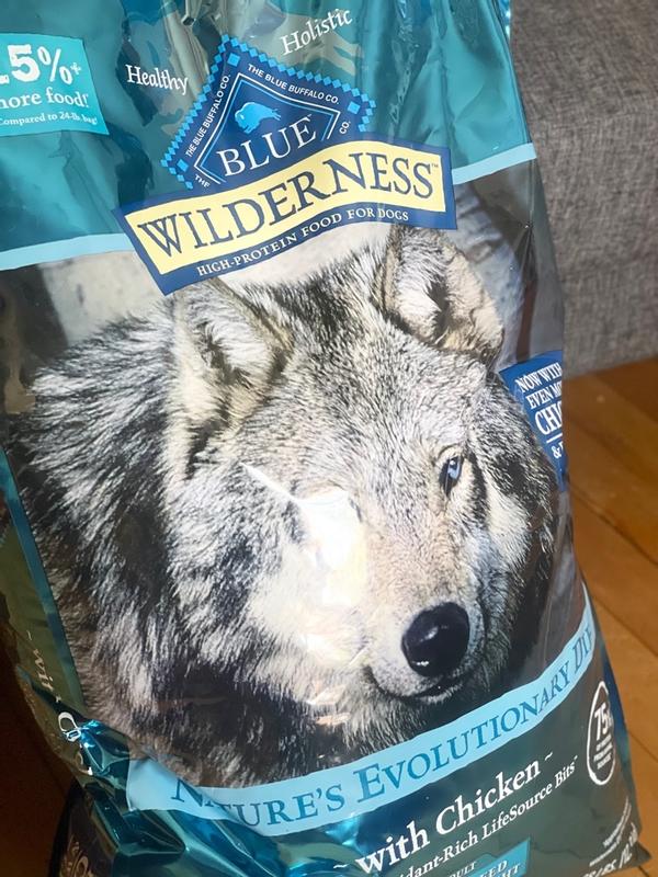 Blue wilderness bad for dogs best sale