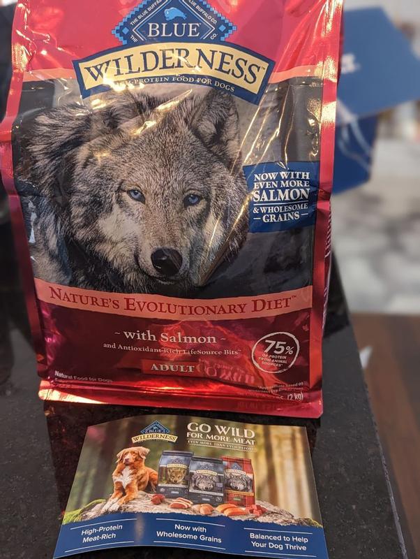 Blue buffalo salmon dog food outlet reviews