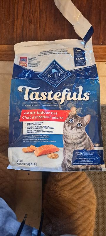 Blue diamond hotsell cat food reviews