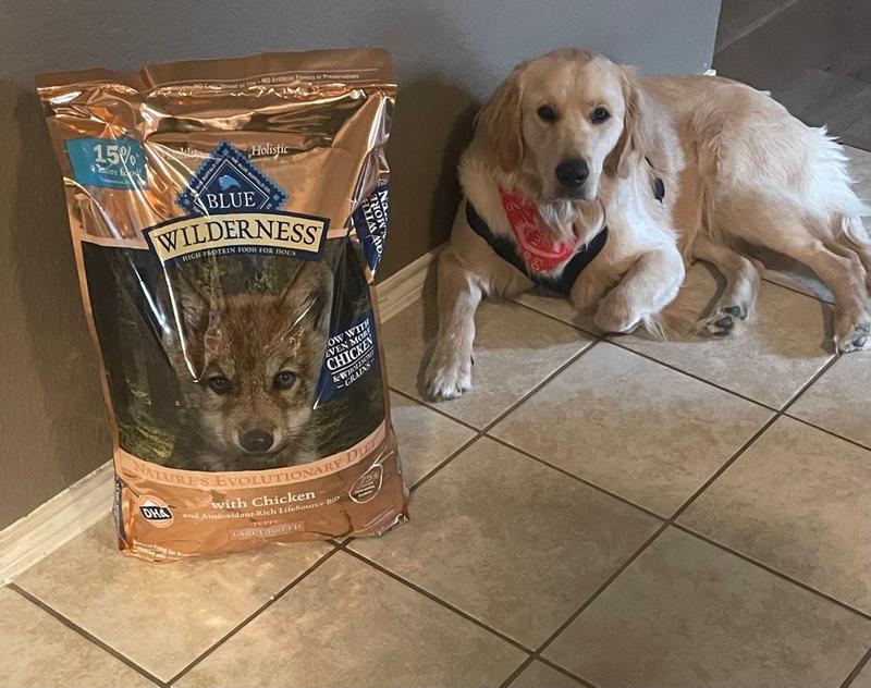 Blue wilderness large outlet breed puppy food reviews