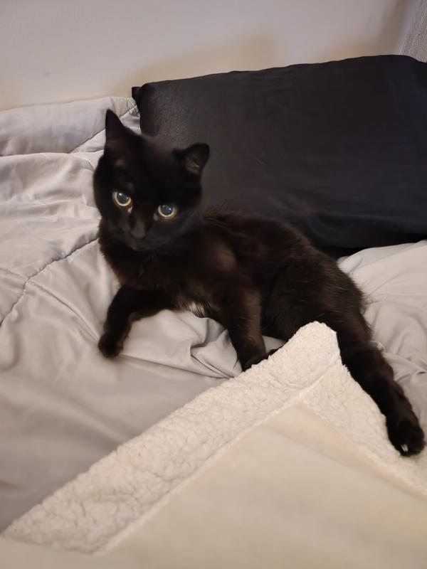 Ac719 | ppgbbe.intranet.biologia.ufrj.br