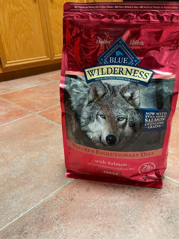 Blue Buffalo Wilderness Adult High Protein Dry Dog Food Natural Salmon with Wholesome Grains