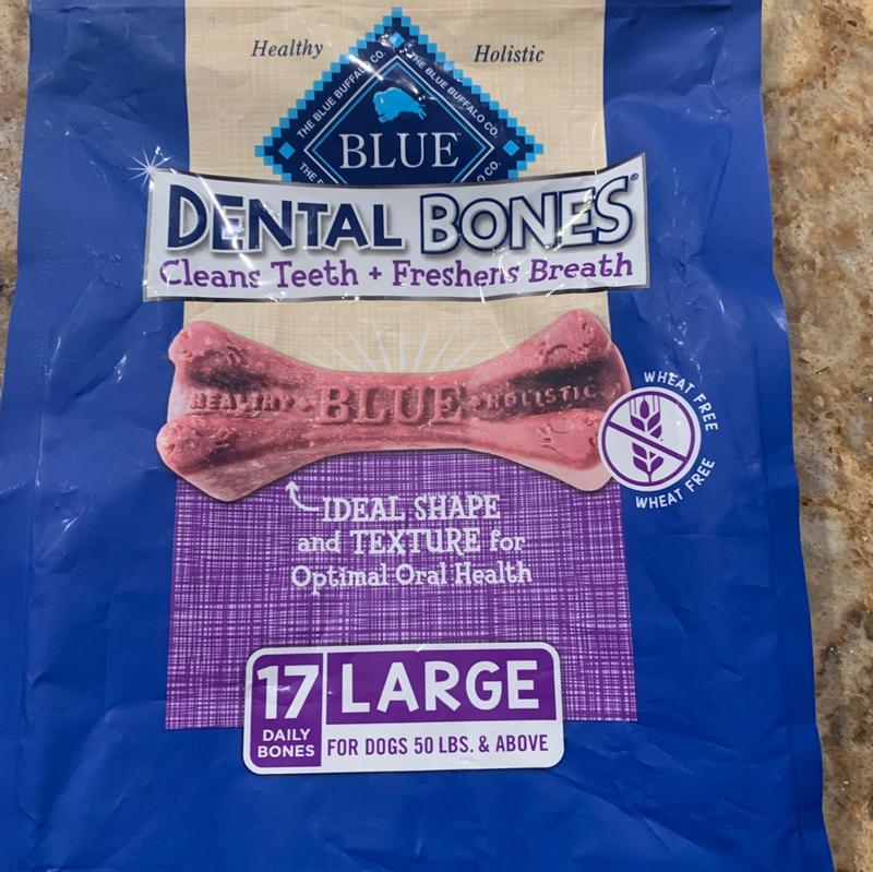 Blue dental bones store large