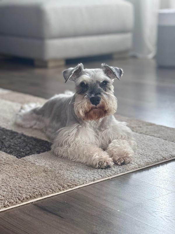 Review photo 1.