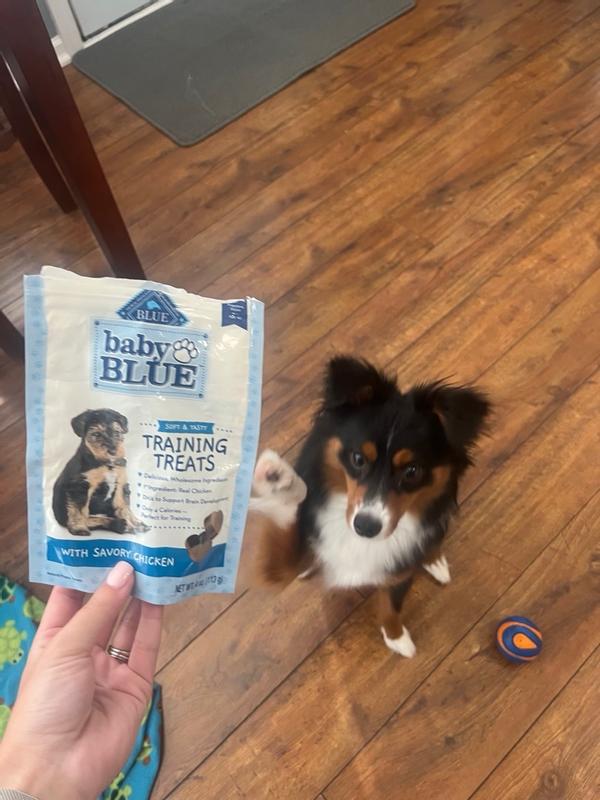 Baby BLUE Puppy Training Treats Blue Buffalo