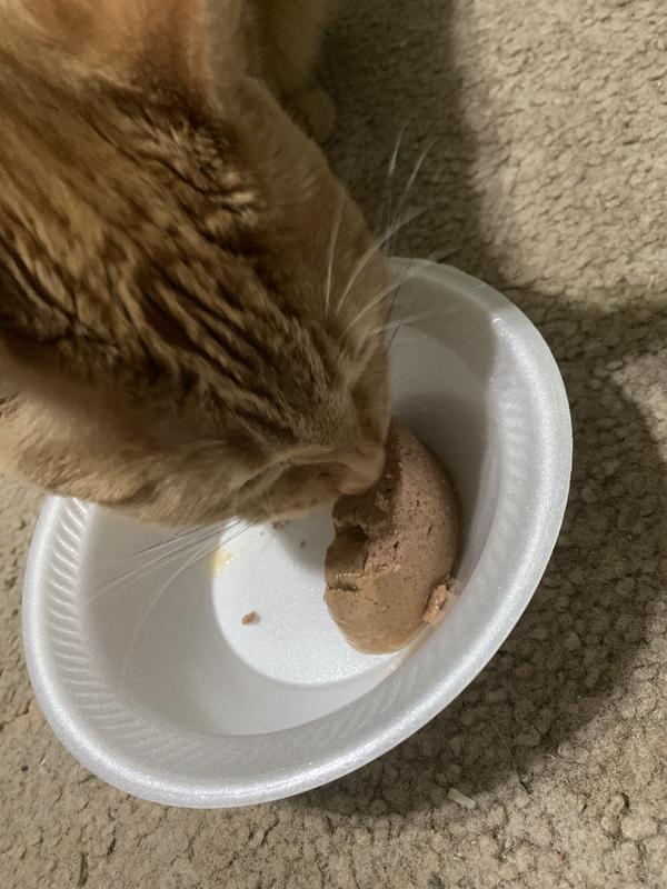 My Boy Loved The Taste