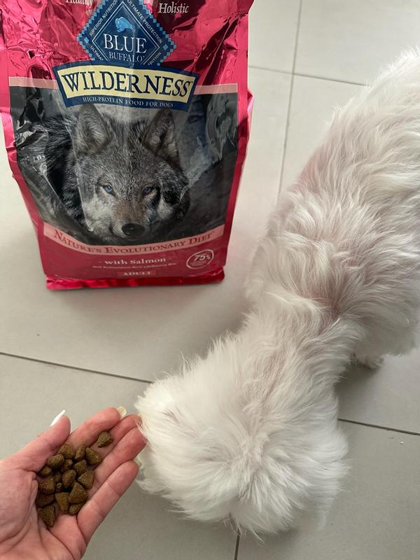 Blue Buffalo Wilderness High Protein Natural Adult Dry Dog Food