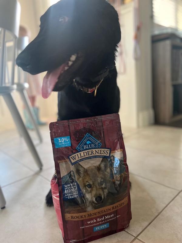 Blue wilderness rocky outlet mountain recipe puppy review