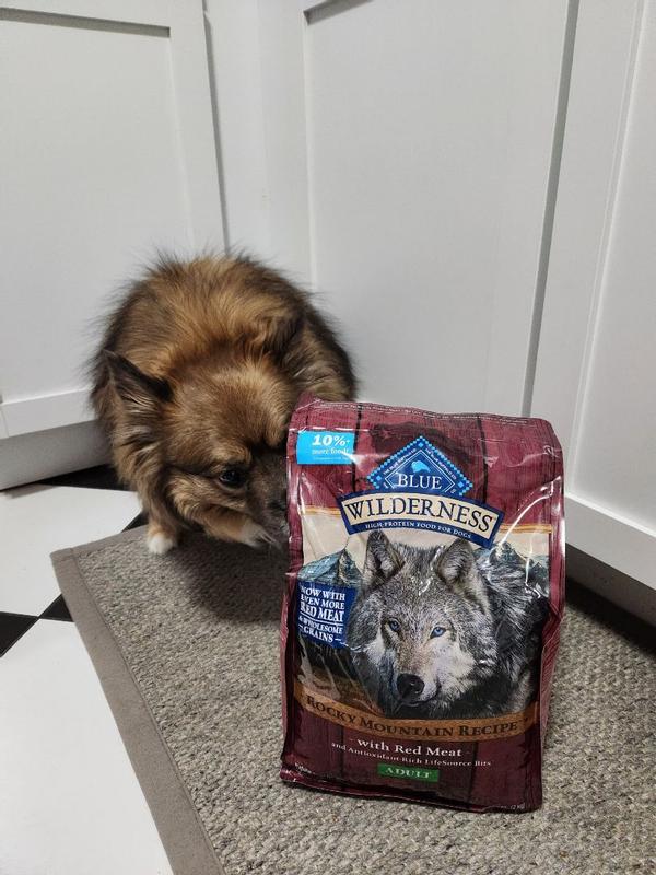 Blue mountain outlet pet food