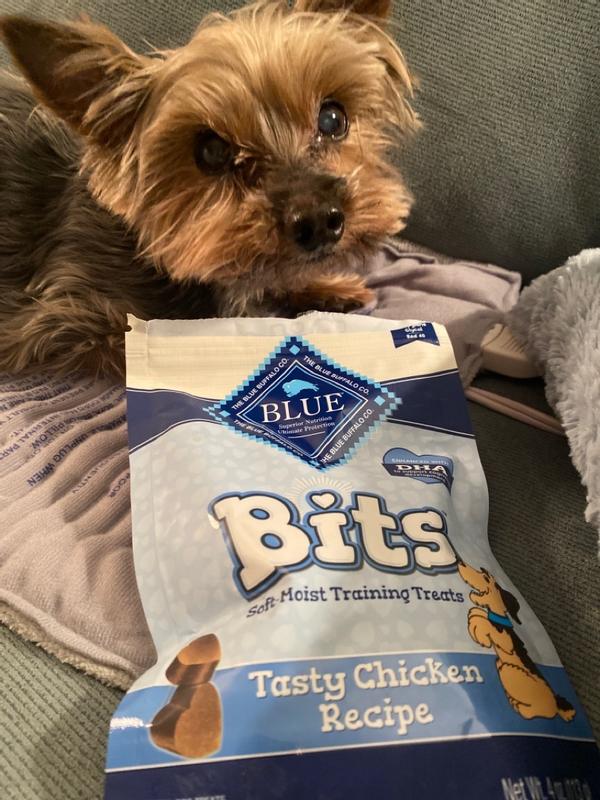 Blue buffalo blue bits training store dog treats