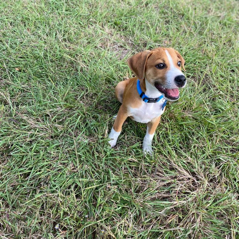 Photo - commentaire&nbsp;7.