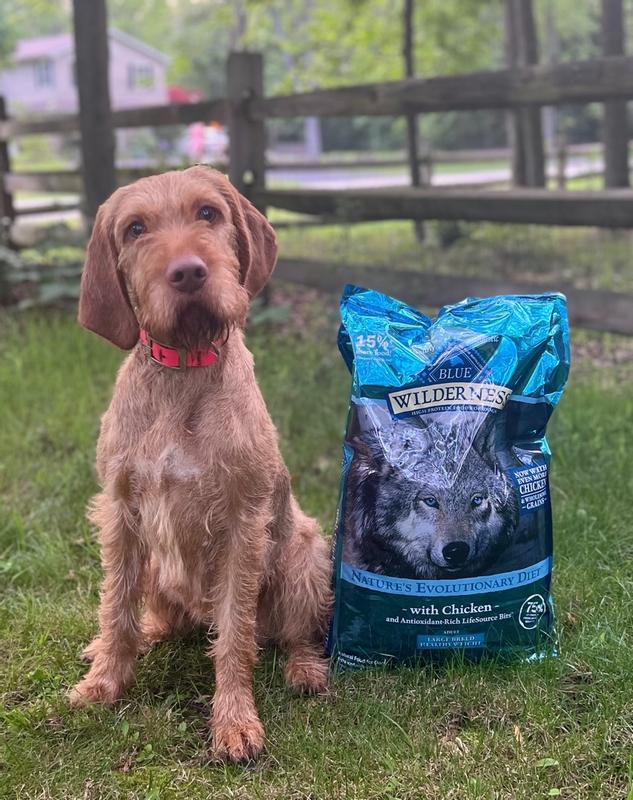 Blue wilderness clearance dog food price