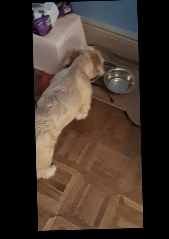 Photo - commentaire 1.