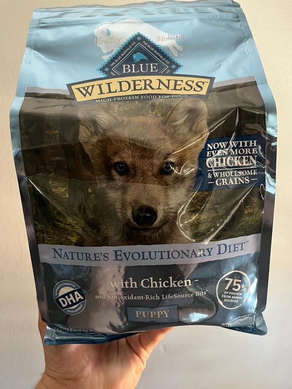 Blue Buffalo Wilderness High Protein Natural Puppy Dry Dog Food