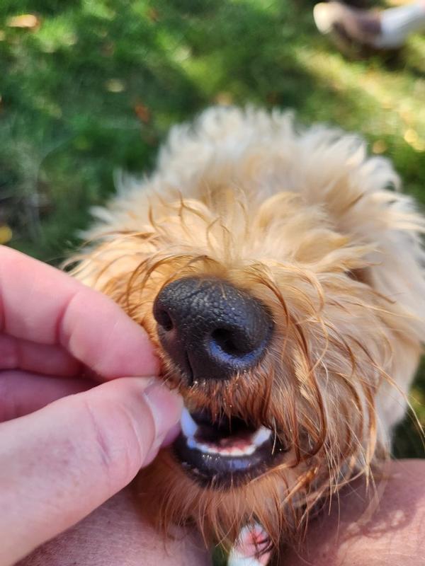 Photo - commentaire 2.