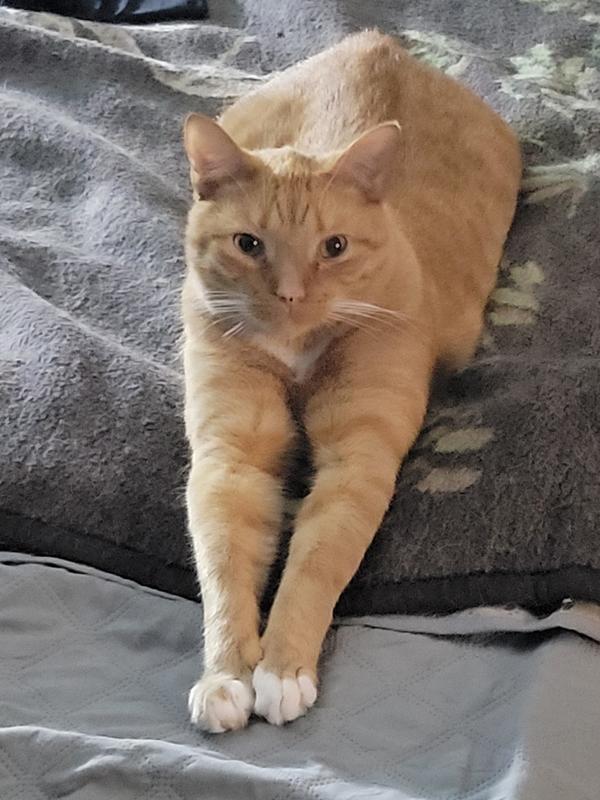 The "when's dinner " stare