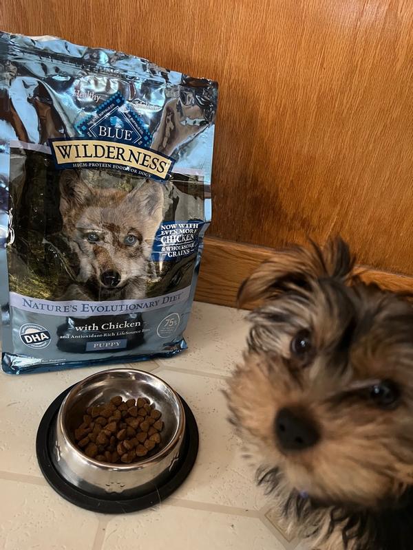 Blue buffalo 2025 wilderness puppy review