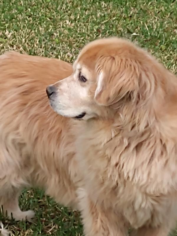 My baby girl always so smart.