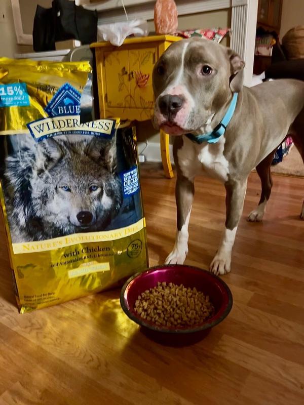 Blue wilderness dog food heart clearance disease