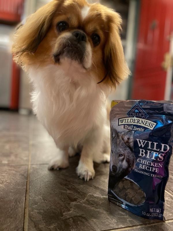 BLUE Wilderness Trail Treats Dog Treats Chicken Wild Bits