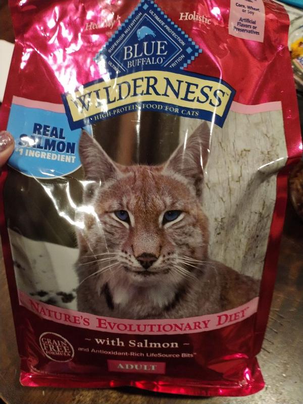 BLUE Wilderness Nature s Evolutionary Diet with Salmon for Adult Cats Dry Food