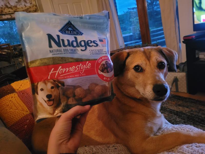 BLUE Nudges Homestyle Dog Treats Meatball