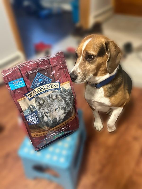 Blue Buffalo Wilderness High-Protein Rocky Mountain Recipe Adult