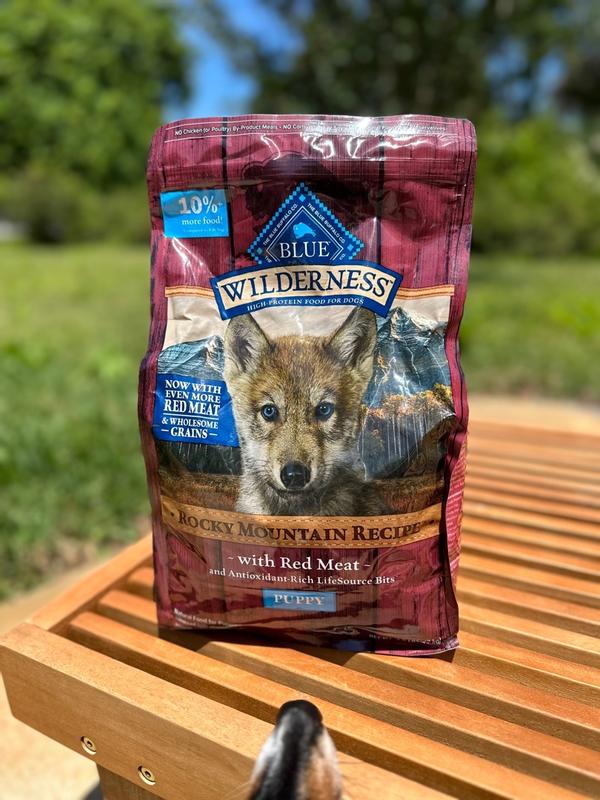 Blue buffalo clearance dog food samples