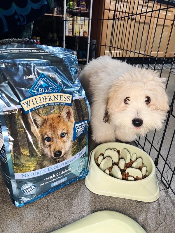 Wilderness puppy best sale